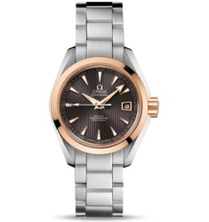 Omega Seamaster Aqua Terra Automatic replica watch 231.20.30.20.06.003