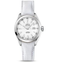Omega Seamaster Aqua Terra Automatic replica watch 231.13.34.20.04.001