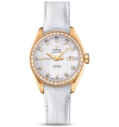 Omega Seamaster Aqua Terra Automatic replica watch 231.58.34.20.55.001