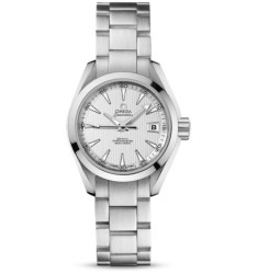Omega Seamaster Aqua Terra Automatic replica watch 231.10.30.20.02.001