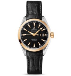 Omega Seamaster Aqua Terra Automatic replica watch 231.23.34.20.01.001